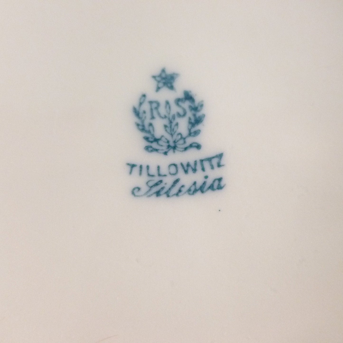 Prussia R&S Porcelain Creamer and Sugar Bowl Set, Hand Painted Pink Roses