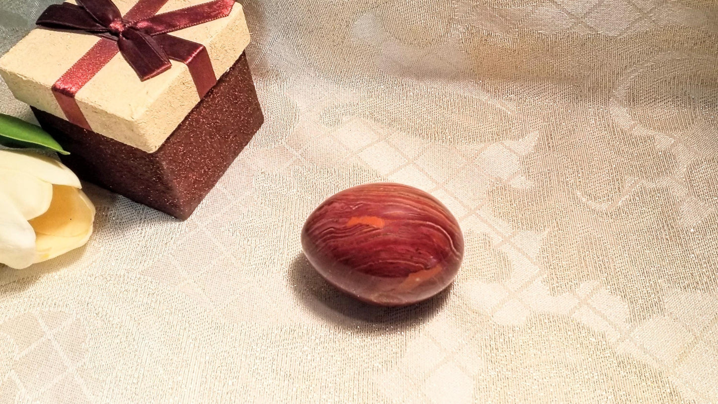 Petrified Wood Egg, Collectible Stone Decor with Presentation Box