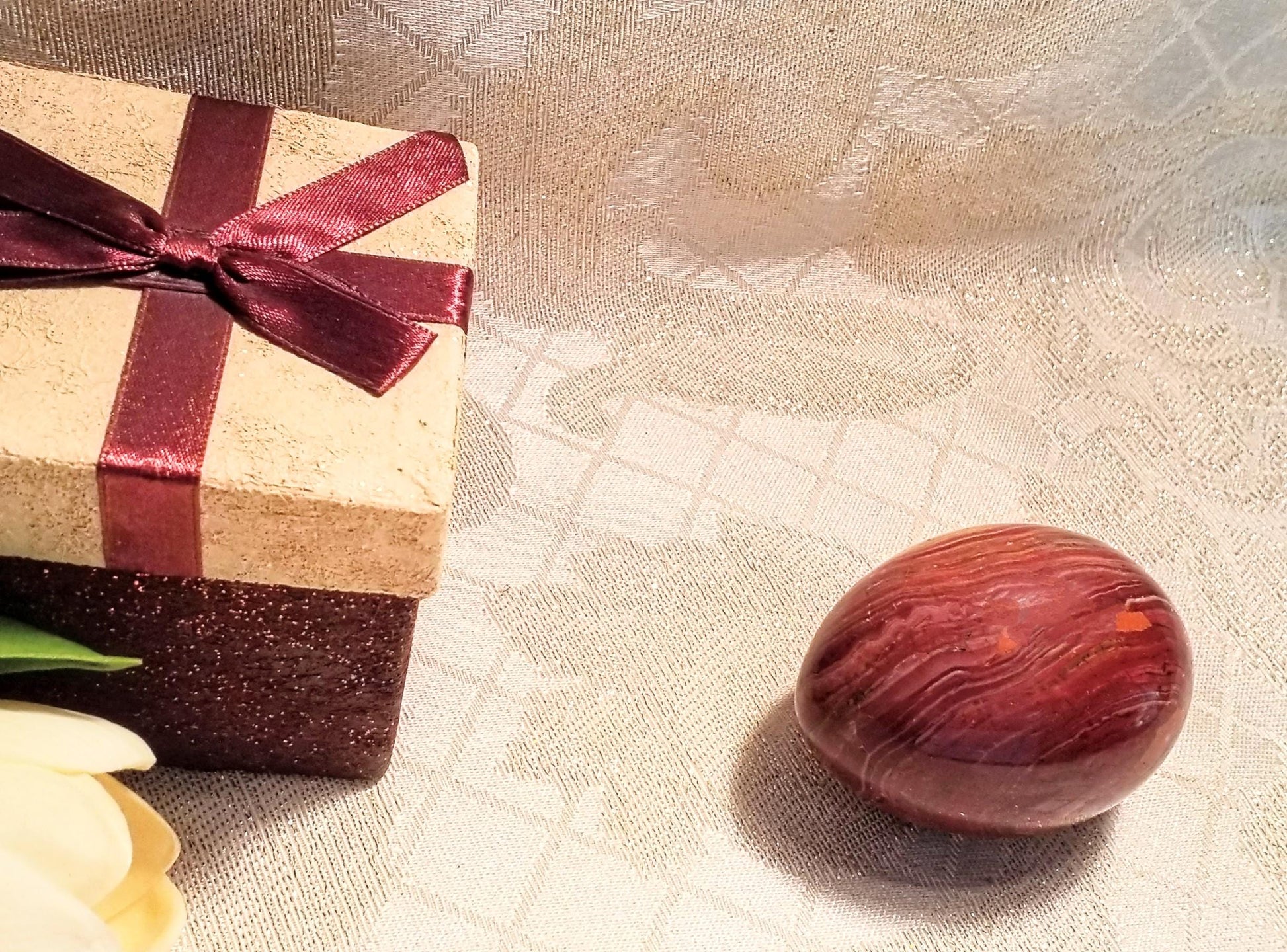 Petrified Wood Egg, Collectible Stone Decor with Presentation Box