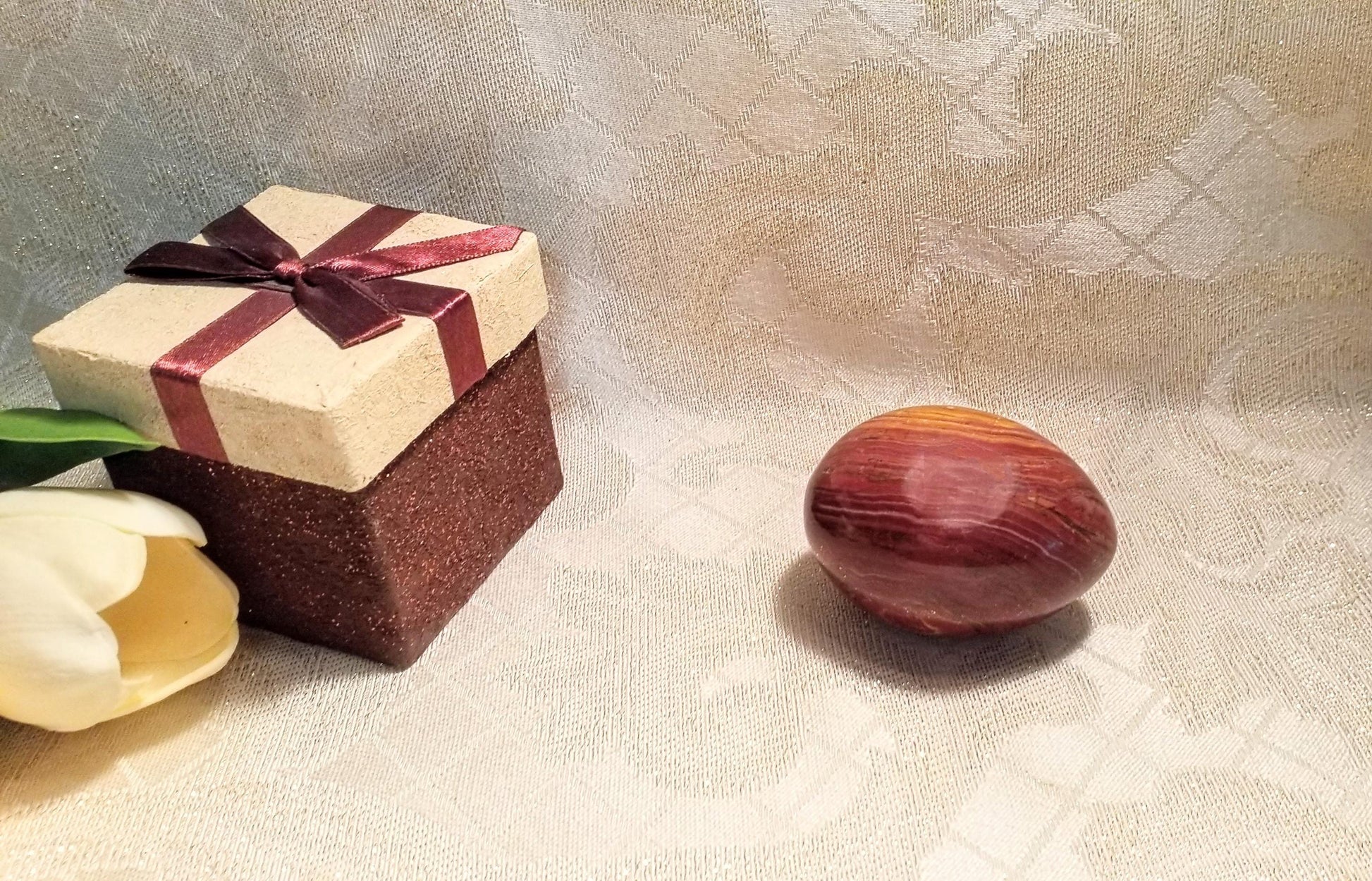Petrified Wood Egg, Collectible Stone Decor with Presentation Box